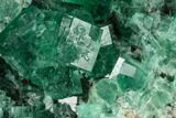 Fluorite Crystal Cluster - Rogerley Mine #143069-1